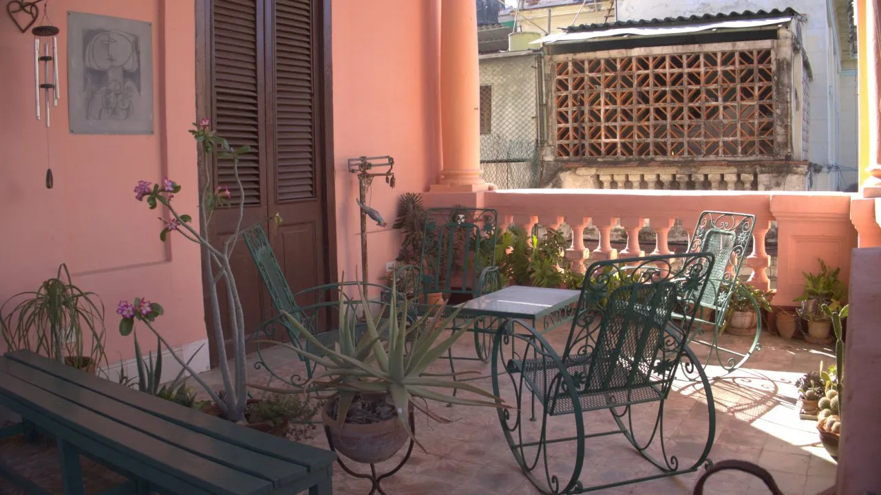 Bike Into Nature: A Personalized Yoga and Cycling Experience at YogaVolution — Nature & Outdoors in Havana