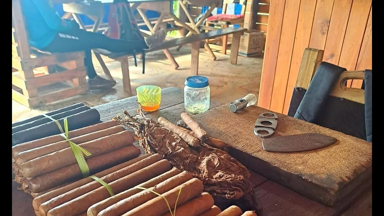 Viñales Horseback Expedition: Valleys, Farms & Community Connections — Nature & Outdoors in Viñales (3 of 4)
