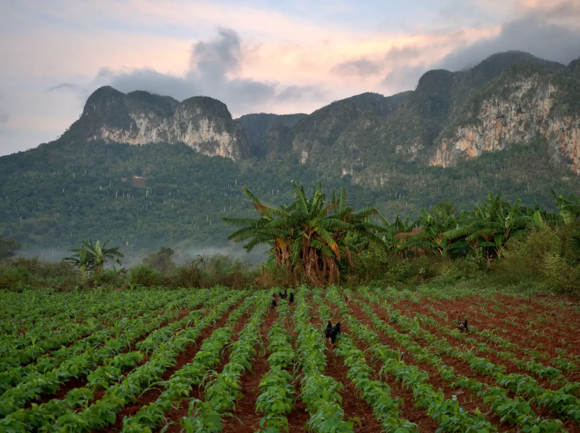 Havana & Viñales Explorer